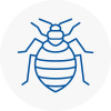 Bed Bug Extermination In Henfield